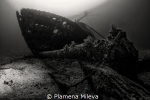 Ocean Secret Mysteries by Plamena Mileva 